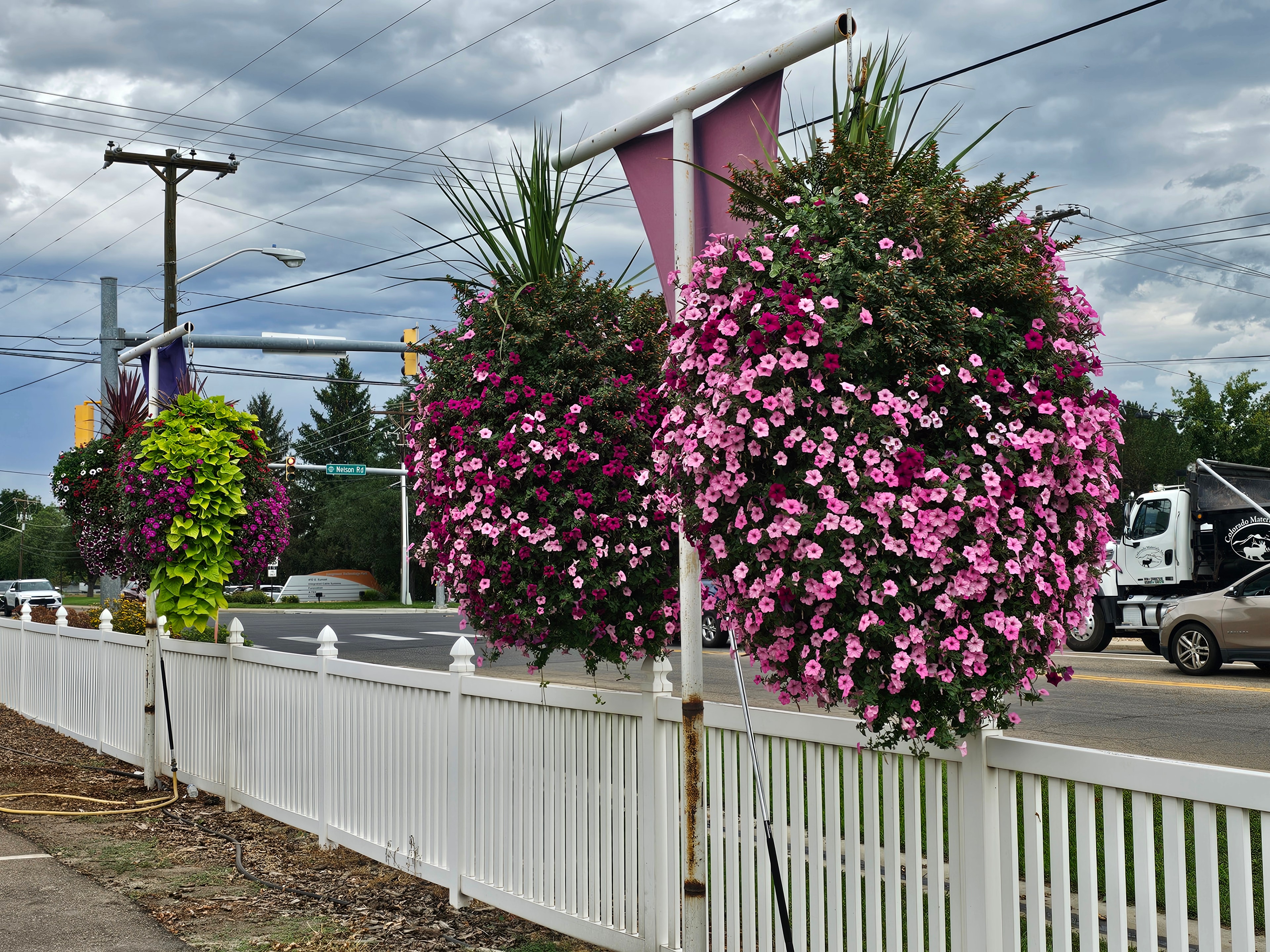 Legendary Hanging Baskets