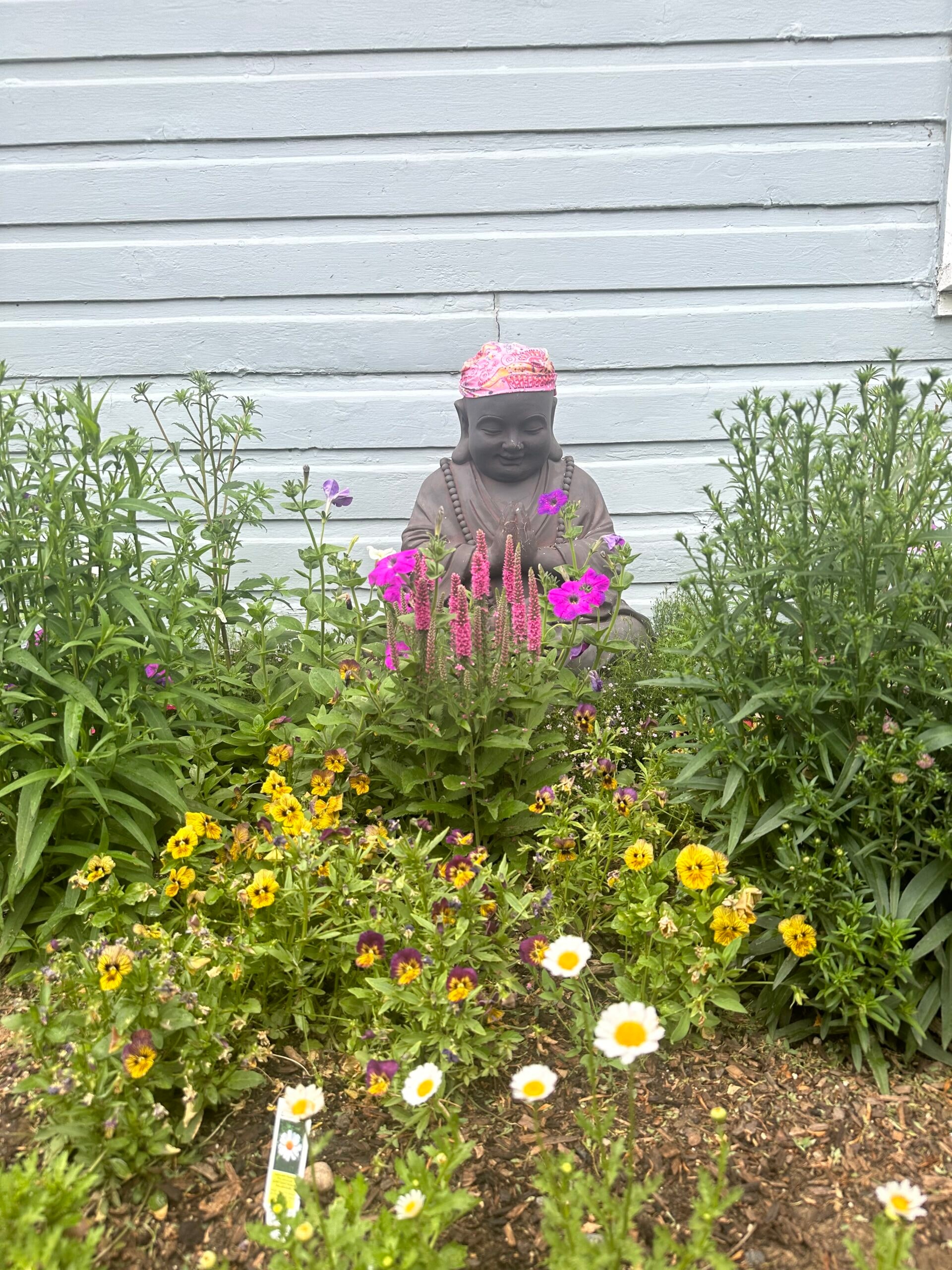 Carol — Longmont