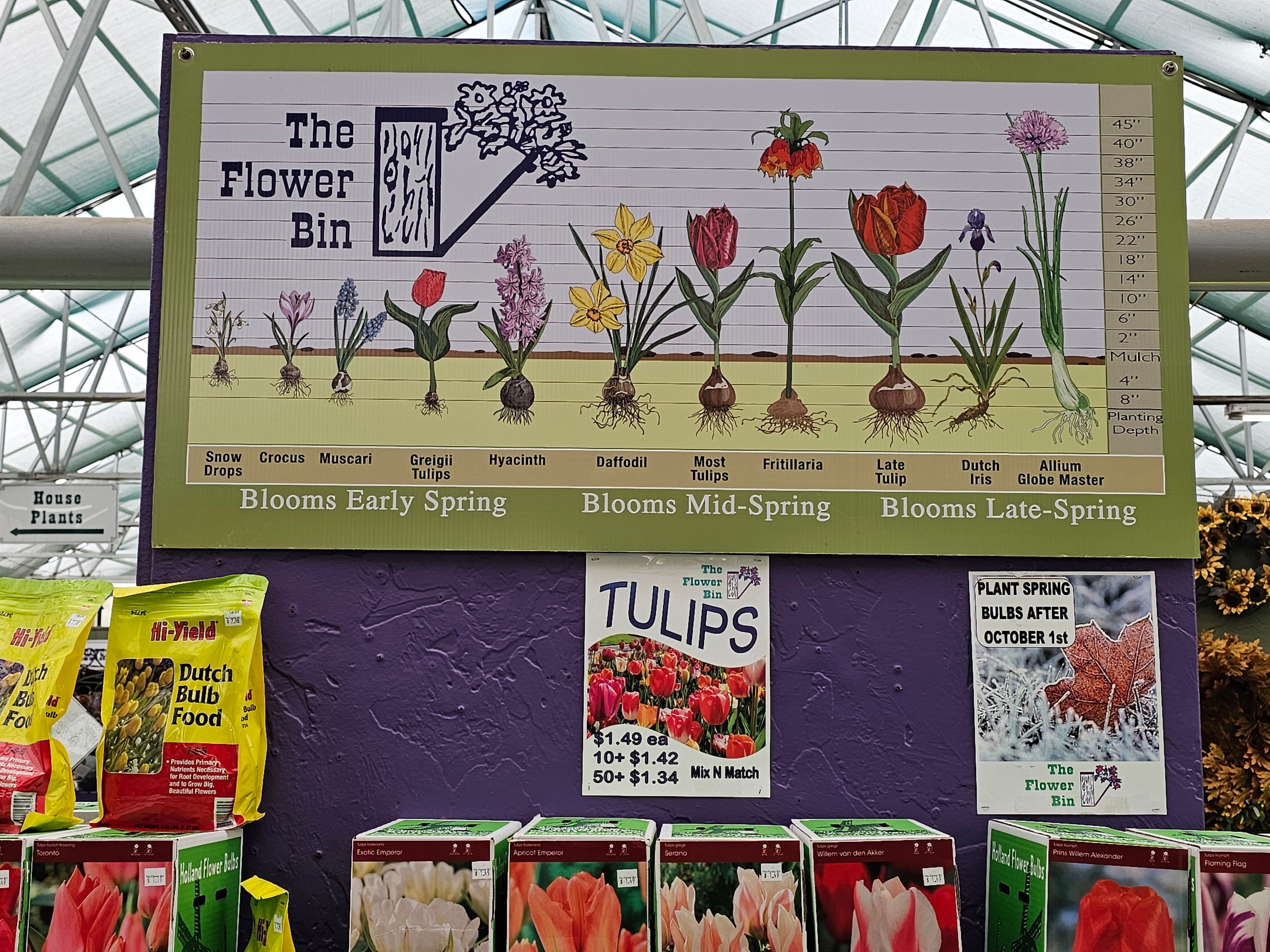 Seeds & Bulbs