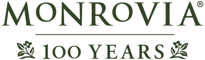Monrovia