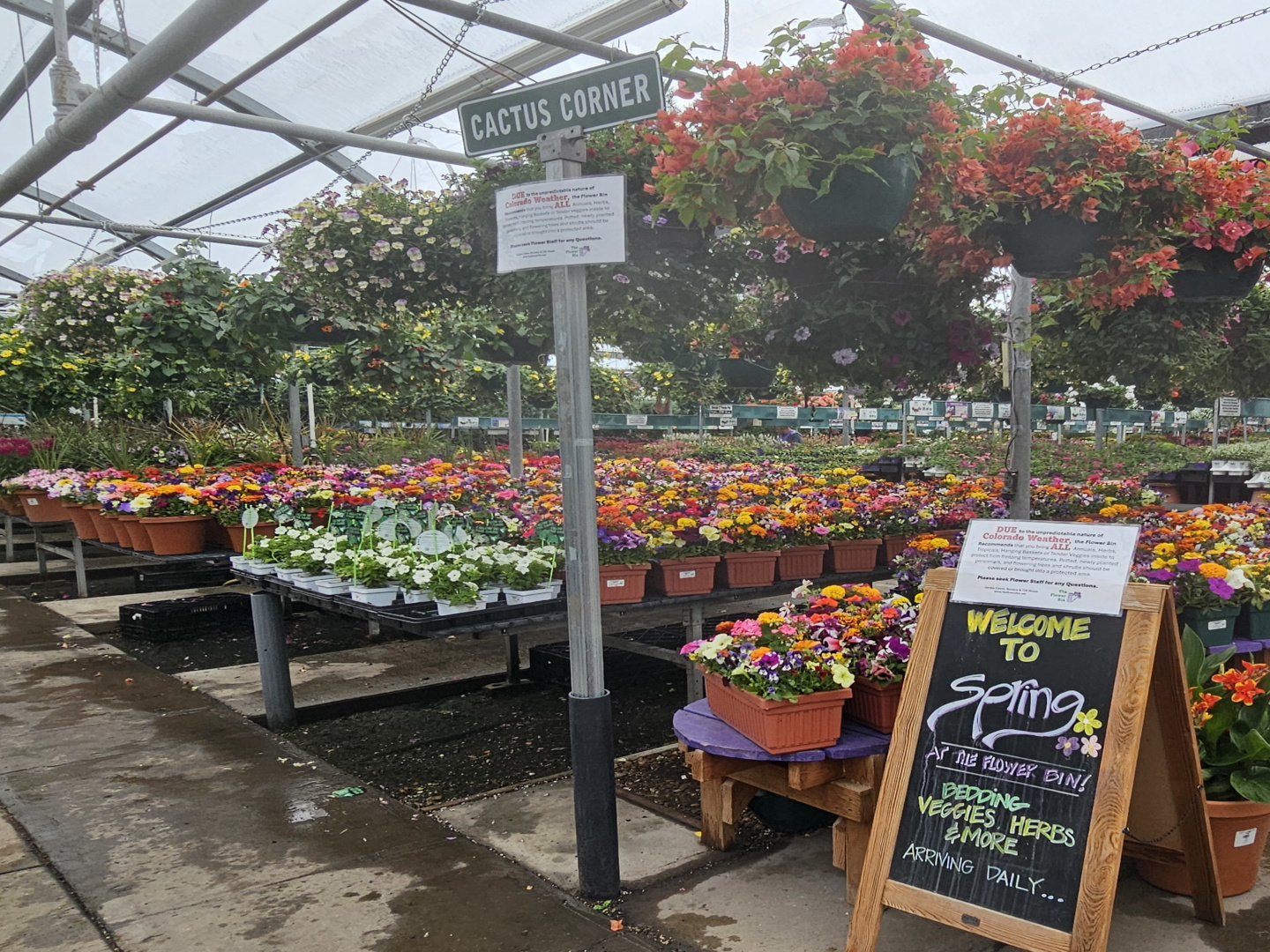 Entering the Greenhouse