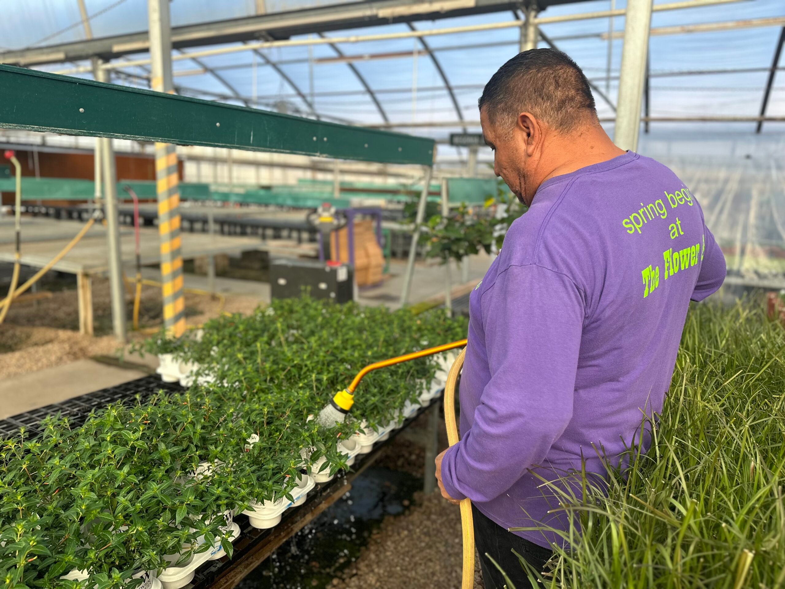 Manuel Watering for Spring