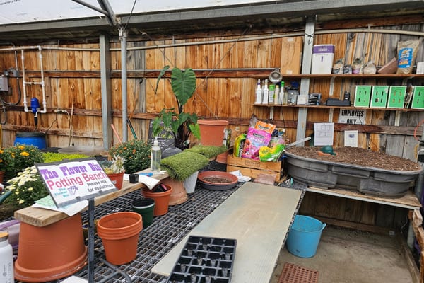 The Potting Bench