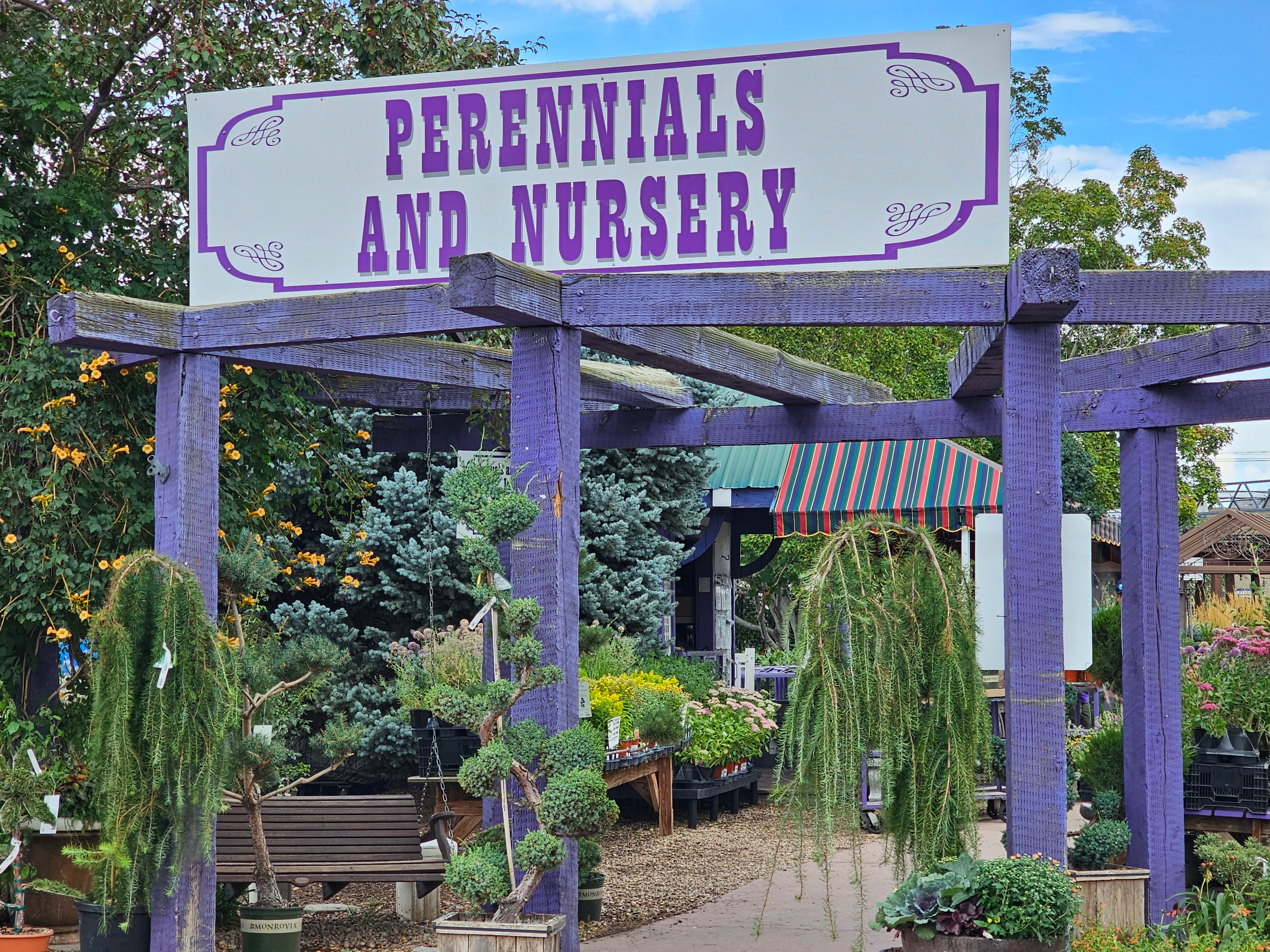 Our Perennials and Rose Experts
