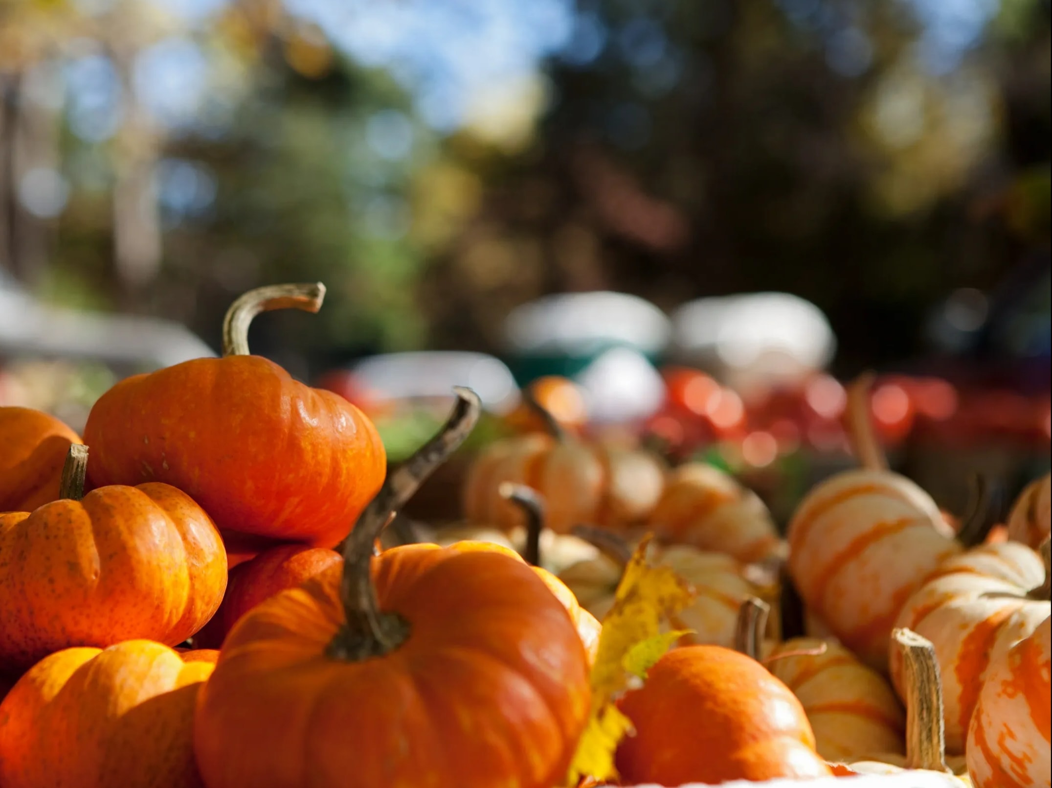 Pumpkins