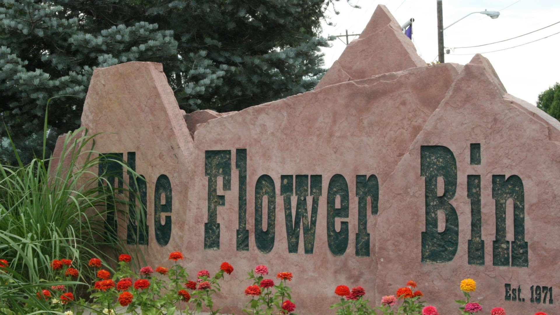 The Flower Bin – Nursery | Longmont, CO